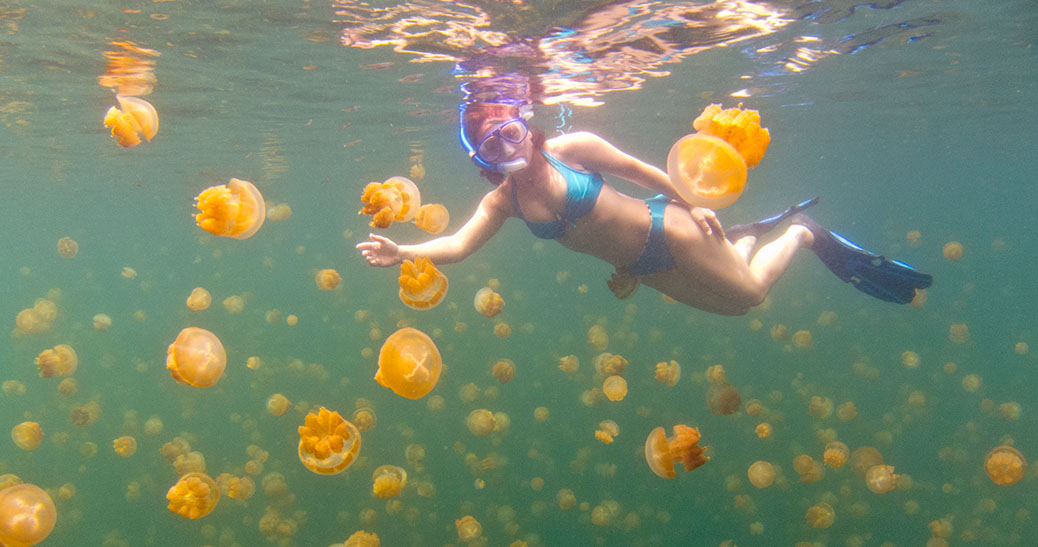 Palau 2012